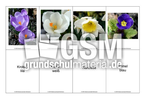 Blumen-Memo-Aufdeckspiel-2.pdf